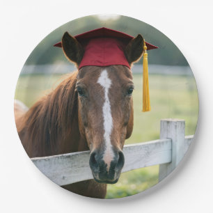 Paard met een rode afstudeerhoed papieren bordje