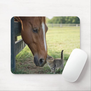 Paard met Kitten in een weiland op een boerderij Muismat