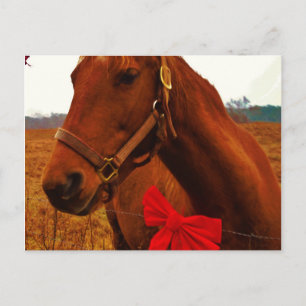 Paard met Rode Strik Briefkaart