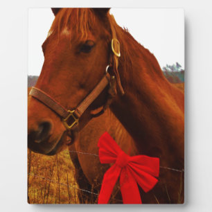 Paard met Rode Strik Fotoplaat