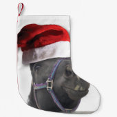 Paard met Sinterklaas Pet Kleine Kerstsok (Voorkant)