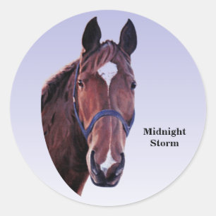 Paard met Witte Ster (veranderingstekst) Ronde Sticker