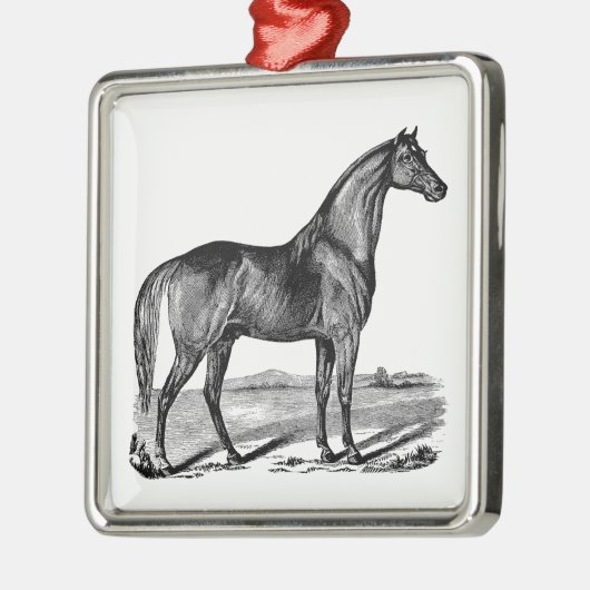  paard metalen ornament (Links)