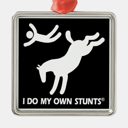 Paard mijn eigen stunts metalen ornament (Voorkant)