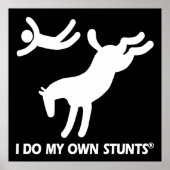 Paard mijn eigen stunts poster (Voorkant)