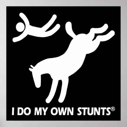 Paard mijn eigen stunts poster (Voorkant)