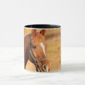 Paard Mok (Midden)