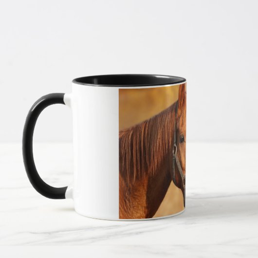 Paard Mok (Links)