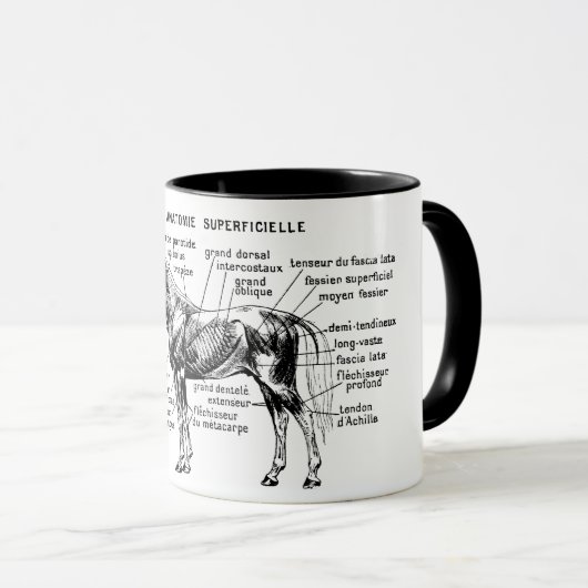 Paard Mok (Voorkant rechts)