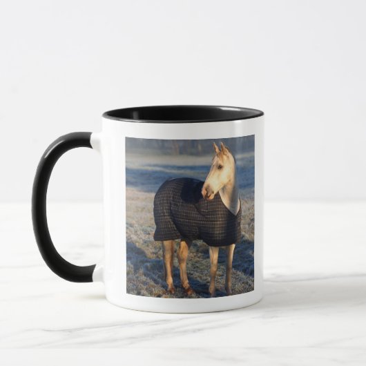 paard mok (Links)