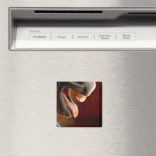 Paard, mond open, tong uitsteken, tanden magneet (Insitu (Vaatwasser))