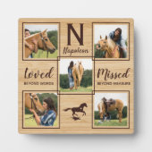 Paard monument unieke foto fotoplaat (Voorkant)