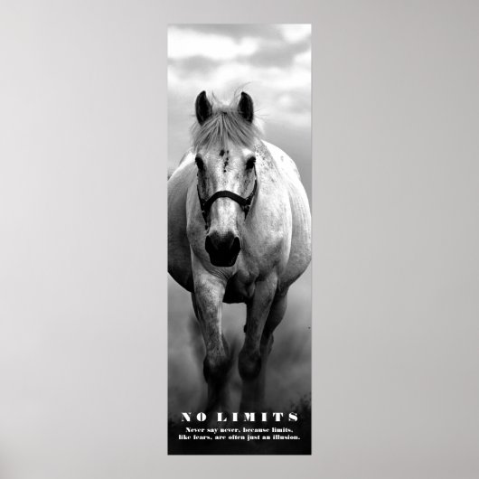 Paard Motivatie No Limits Kunstwerk Zwart Wit Poster (Voorkant)
