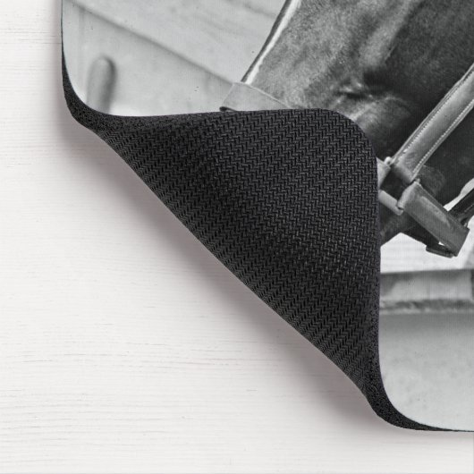 Paard Muismat (Hoek)