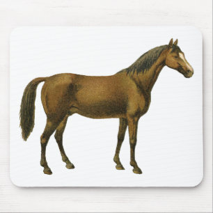paard muismat