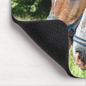 Paard Muismat (Hoek)