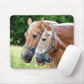 Paard Muismat (Met muis)