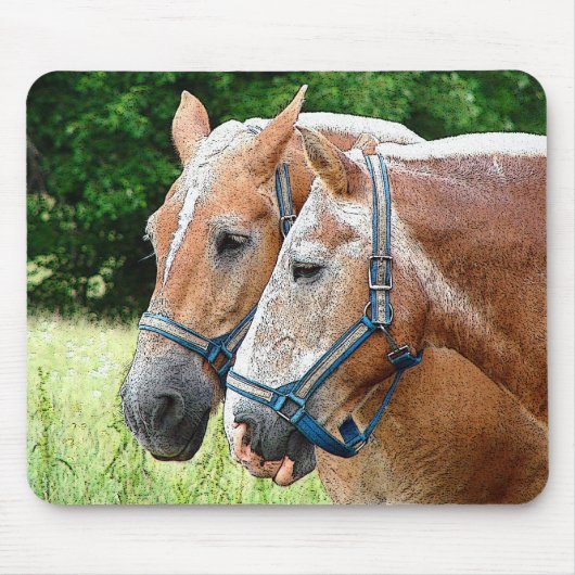 Paard Muismat (Voorkant)