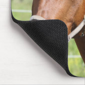 Paard Muismat (Hoek)