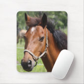 Paard Muismat (Met muis)