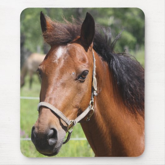 Paard Muismat (Voorkant)