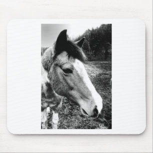 Paard Muismat