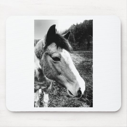 Paard Muismat (Voorkant)