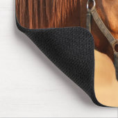 Paard Muismat (Hoek)