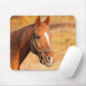Paard Muismat (Met muis)