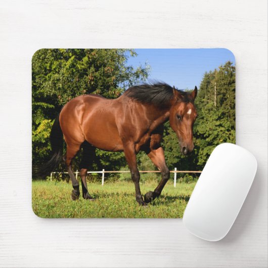 Paard Muismat (Met muis)