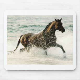 Paard Muismat