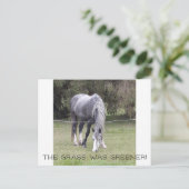 Paard 'n hek! briefkaart (Staand voorkant)