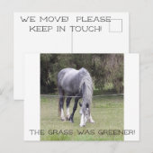 Paard 'n hek! briefkaart (Voorkant / Achterkant)