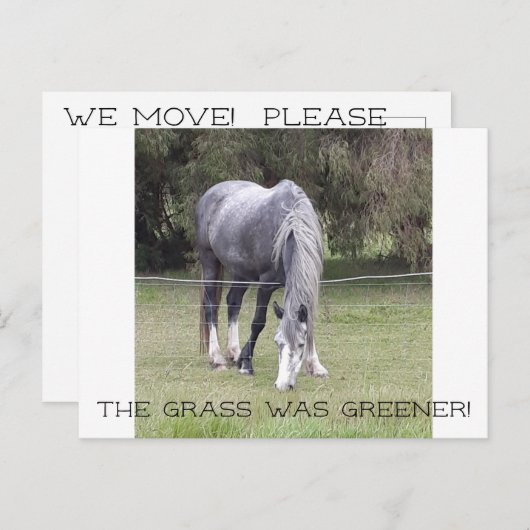 Paard 'n hek! briefkaart (Voorkant / Achterkant)