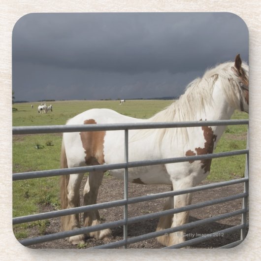 Paard nabij een hek onderzetter (Voorkant)