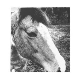 Paard Notitieblok