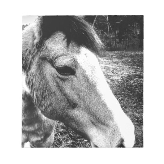 Paard Notitieblok (Voorkant)