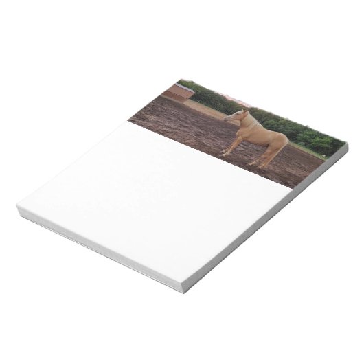 Paard Notitieblok (Linkerzijde)