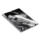 Paard Notitieboek (Rechterzijde)