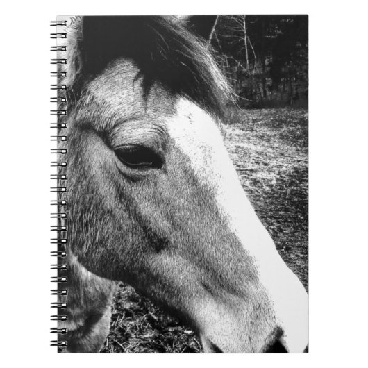 Paard Notitieboek (Voorkant)