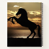 paard notitieboek (Achterkant)