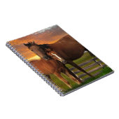 Paard Notitieboek (Rechterzijde)