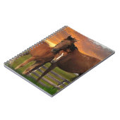 Paard Notitieboek (Linkerzijde)