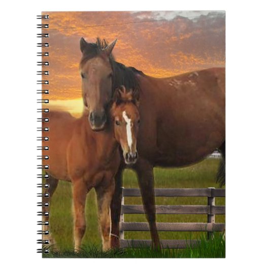 Paard Notitieboek (Voorkant)