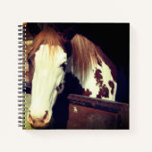 Paard Notitieboek (Voorkant)