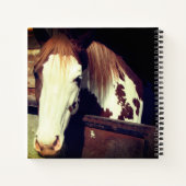 Paard Notitieboek (Achterkant)