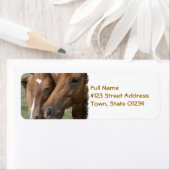 Paard Nuzzle Mailing Label (Insitu)