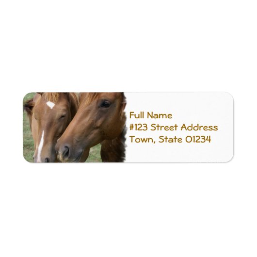 Paard Nuzzle Mailing Label (Voorkant)