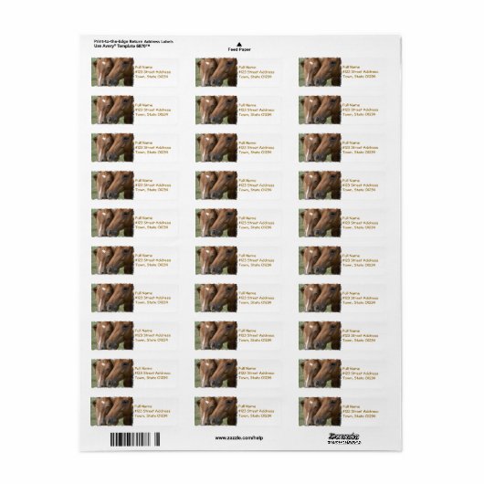 Paard Nuzzle Mailing Label (Full Sheet)