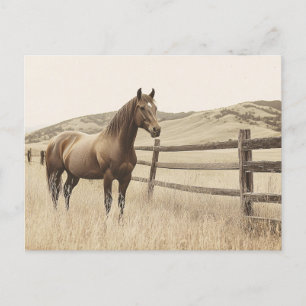 Paard op de Range  Sepia Briefkaart